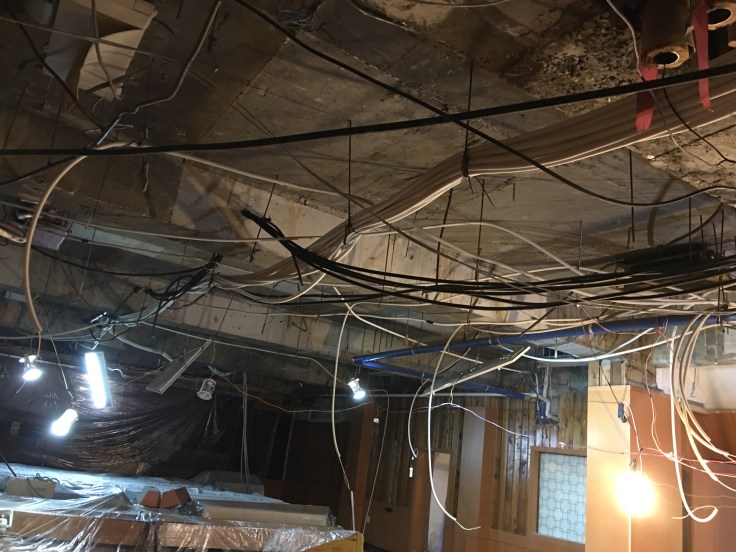 20170523_084211472_iOS