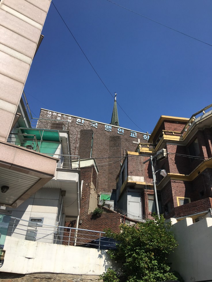 20170527_070032057_iOS